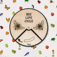 Load image into Gallery viewer, Learning Wheels - Bee Lifecycle - mytinyfingers baby products