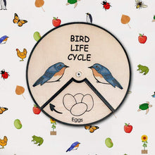 Load image into Gallery viewer, Learning Wheels - Bird Lifecycle - mytinyfingers baby products