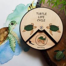 Load image into Gallery viewer, Learning Wheels - Turtle Lifecycle - My Tiny Fingers