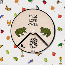 Load image into Gallery viewer, Learning Wheels - Frog Lifecycle - mytinyfingers baby products