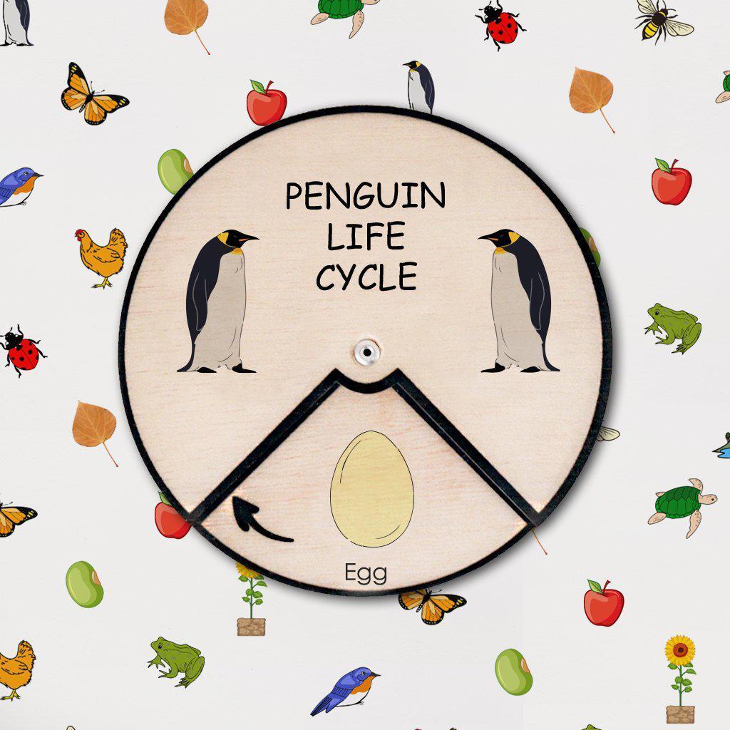 Learning Wheels - Penguin Lifecycle - mytinyfingers baby products