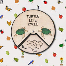 Load image into Gallery viewer, Learning Wheels - Turtle Lifecycle - mytinyfingers baby products